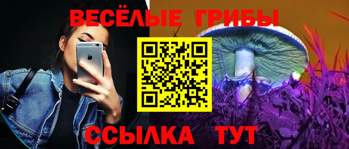 Псилоцибиновые грибы GOLDEN TEACHER Заводоуковск